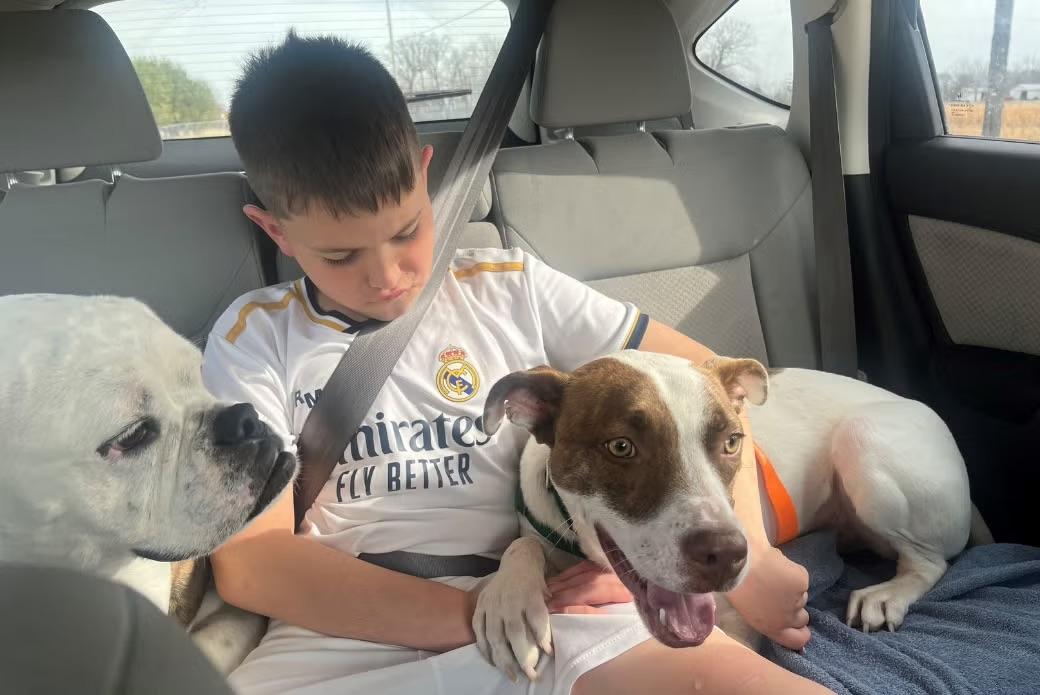 Image courtesy of ASPCA child holding dogs