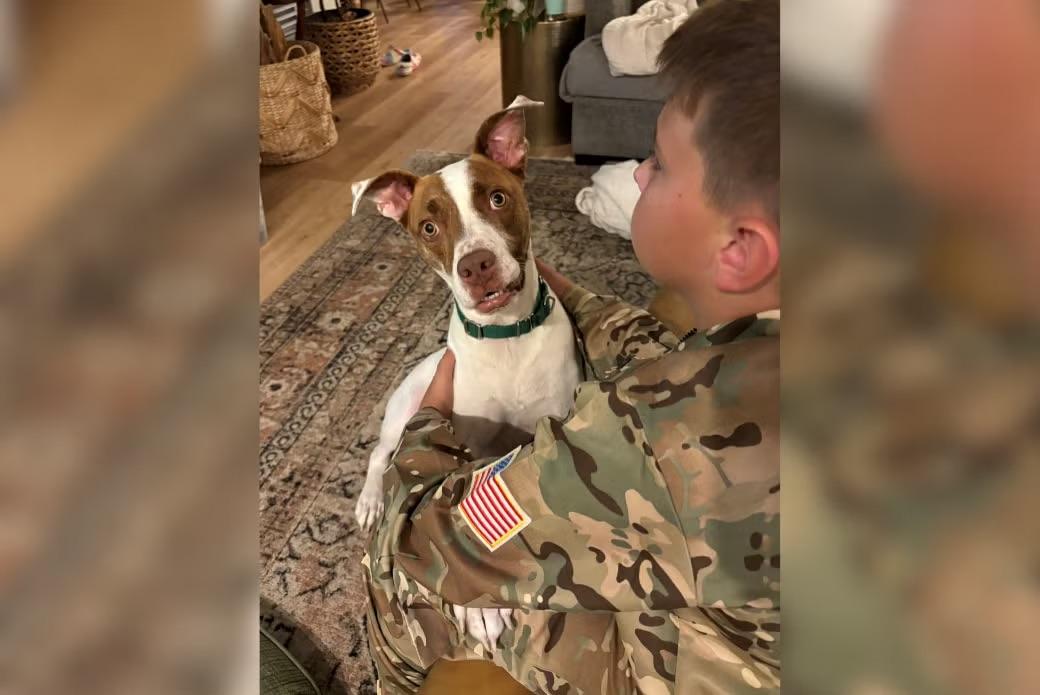 Image courtesy of ASPCA child with dog