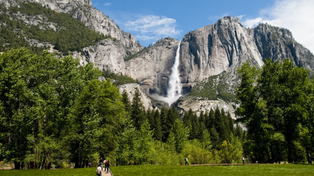 Image courtesy of National Parks Foundation Yosemite