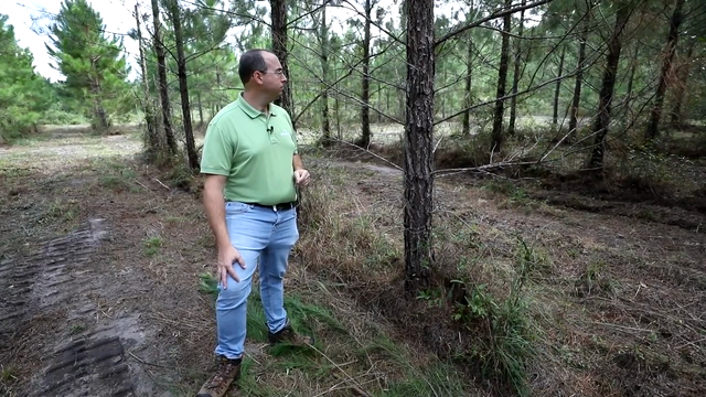 Man standing in forest