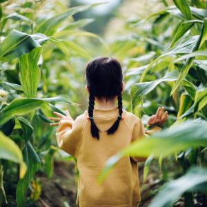 young girl navigates through stalks of foliage