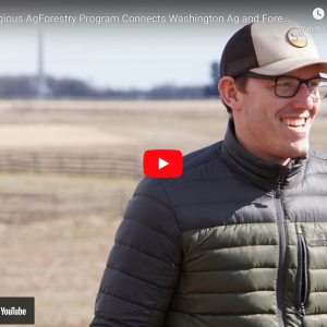 AgForestry video thumbnail