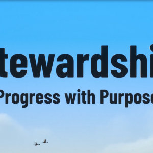 Over a background of a blue sky with two birds in flight: "Stewardship Progress with Purpose."