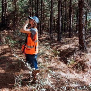 Research Biometrician Stephanie Patton monitors tree growth in one of Rayonier’s forests