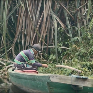 A person in a small boat, dense vegetation in front of them