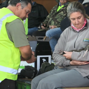 A person holding a Kiwi bird as another looks on. A row of people seated on stage.