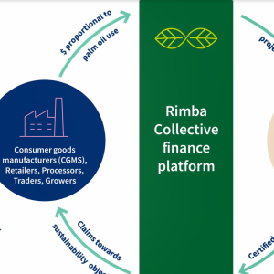 Info graphic of "Rimba Collective finance platform"