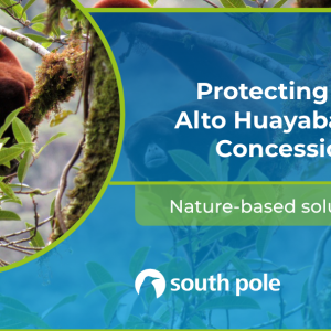 Carbon finance is enabling the long-term protection of the Alto Huayabamba concession by supporting local livelihoods.