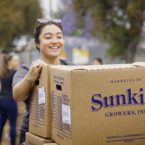 Person stacking cardboard boxes 