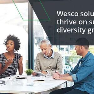 Wesco solutions thrive on supplier diversity.