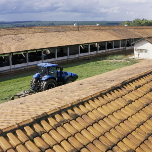 CNH Industrial demonstrates its commitment to innovation in sustainability through this new Energy Independent farm concept in Brazil, reimagining the biomethane industry with a more environmentally conscious approach.