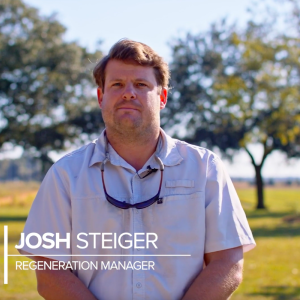 Rayonier Regeneration Manager