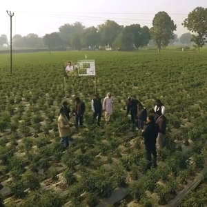 People stood near a sign in a field