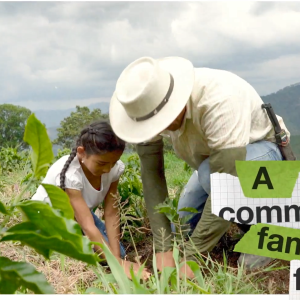 An adult and child planting in a field.