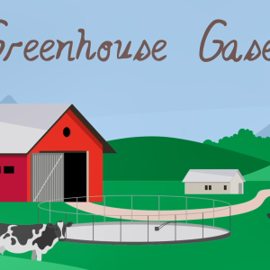 Digital imaging of cows on a farm "Greenhouse Gasses in script in the sky.