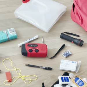 things to put in your emergency go bag