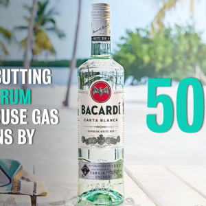 Bacardi rum bottle on a beach