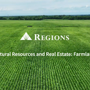 Regions Natural Resources and Real Estate