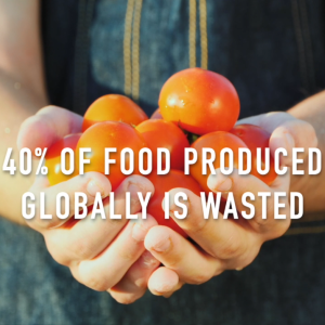 Two hands holding produce. "40% of food produced globally is wasted.