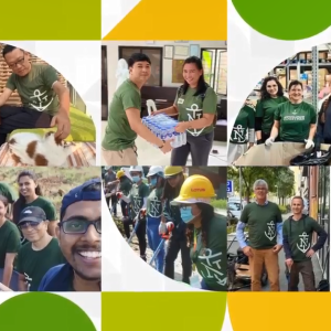 Collage of groups of volunteers in matching shirts doing activities.