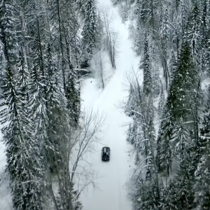 road through snowy forest