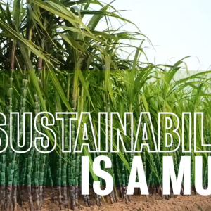 Sustainability is a Must