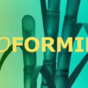 BioForming over an image of bamboo plants.