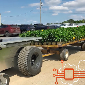 LCR moving trays of plants