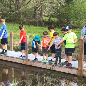 A group of children on a trail overlooking a body of water.