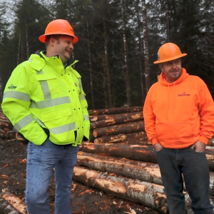 Two people in high-vis clothing and hard hats talking by piles of cut timber.