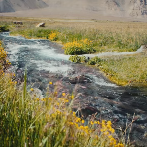 Water flowing 