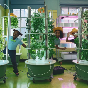 Children popping out from behind three tower gardens in a classroom.