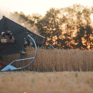 Thresher going through field