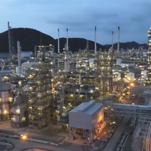 Recycling plant