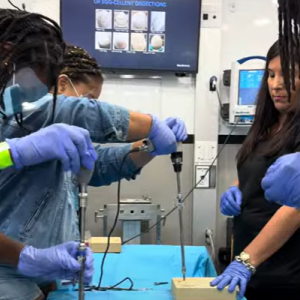 people working in a lab