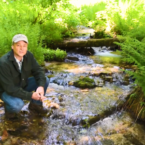 A person crouched down in a creek