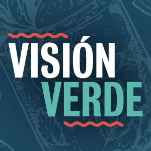 Vision Verde logo on an illustrated background 