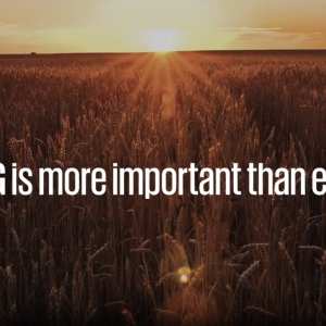 ESG is more important than ever.