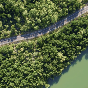 Birds eye view of a road surrounded by trees next to water