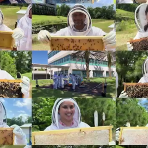 Collage of people posed in beekeeper suits, holding a honeycomb with bees on it.