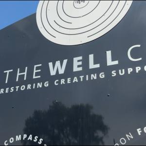 The WELL CDC