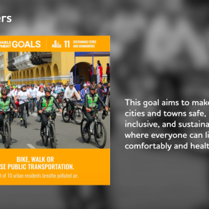 "TCS goIT Sustainable Development Goal 11"
