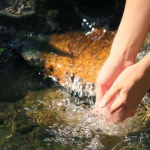 Two hands scooping up water from a stream.
