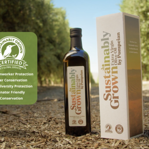 Olive Oil