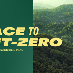 "Race to net-zero. Our climate transition plan." Over a green and forest canopy background.