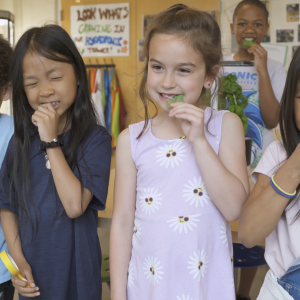 Students eating greens