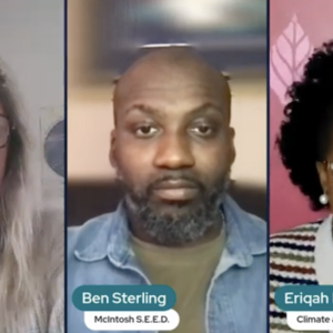 Meg Darnell, Ben Sterling, and Eriqah R. Vincent