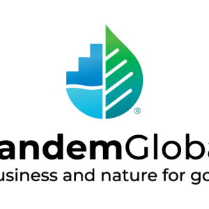 Tandem Global Logo