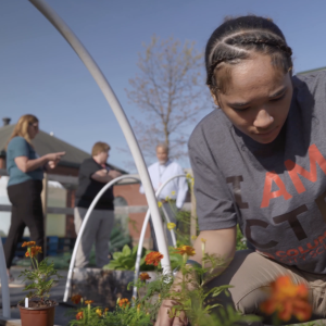 Students working in a garden