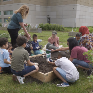 Teacher and students working together on a garden bed